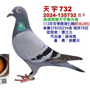 ooo4256