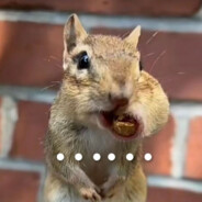 孟婆来杯优乐美