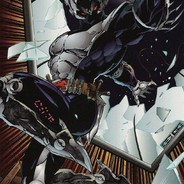 ShadowHawk
