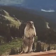 复活吧！我的爱人！！