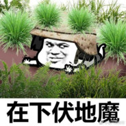 不会AK突突