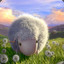 Tinysheep