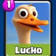 Lucho