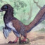 Archeteryx