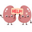 kidneys