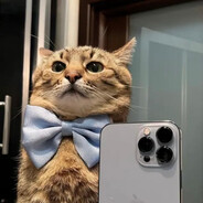 managerNURJYK avatar