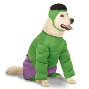 W'rkncacnter Willy avatar