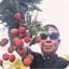 AAA凤梨农庄李总