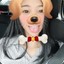 妖娆的小魔女