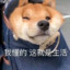 游戏就要猫着玩