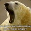 FANTASTIC POLARBEAR