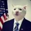 President_Cat