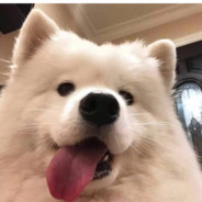 困困困困困困儿