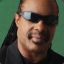 Stevie Wonder