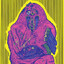 creature avatar