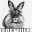 Черемша