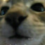 W u