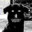 DogKicker1999
