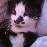 Махрипа Харипулаевна