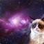 nekoinspace