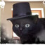 tophat cat