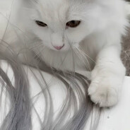 bruh???what are you doing???