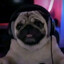 {name}'s avatar