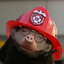 Moffel