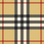 mlodyysarmata