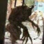 друг