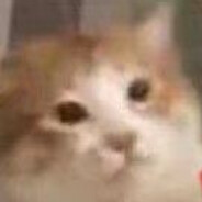 Warm on a Cold Night