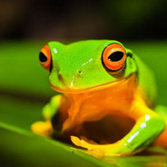 不明真相的群众