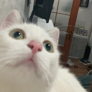 DBSUPER 13/27 - steam id 76561199470903052