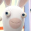 Rabbid