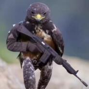 不会飞的奥特曼