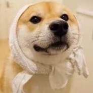 你像天使般屹立在山顶