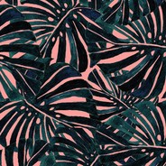 -------菜比分界线-------