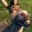 DONKEY