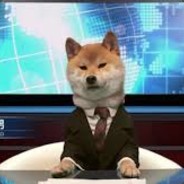 烏拉呀哈呀哈烏拉