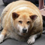 选射直连大脑 滋蹦代替思考