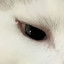displeased