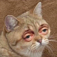 Мехриддин угли А. - steam id 76561198161535189