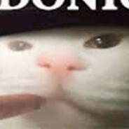 TheTimStage