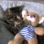 SomNus^^