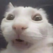 碧桂园五星上将