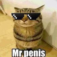 Mr Pinas - steam id 76561199822714735