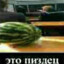 DelovoyArbuzik