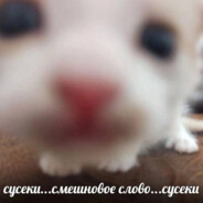 фыаьб