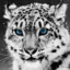 doctor_1331