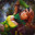 |Melon| SirBahamut